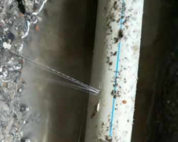 东阳卫生间测漏水多少钱