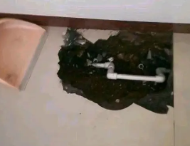 东阳卫生间测漏水多少钱